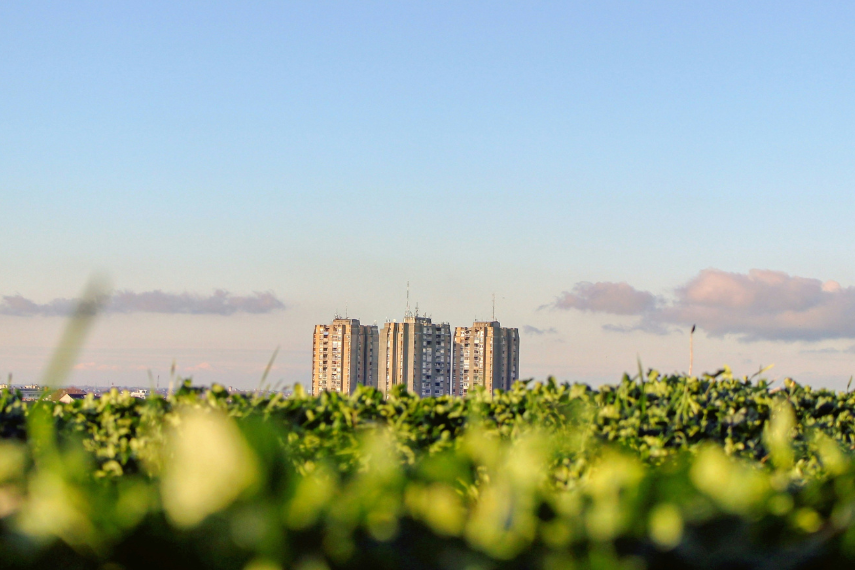 Data Center Sustainability Challenges in 2025: Key Issues & Solutions