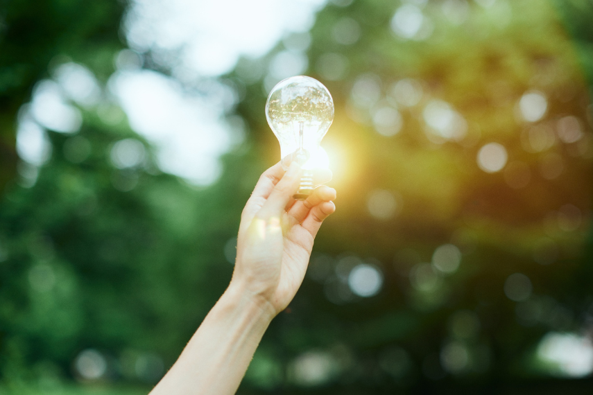 Sustaining Innovation in Data Centers: Building a Green Digital Future